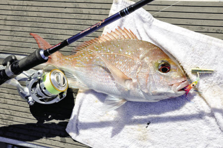 Micro Slow Jigging